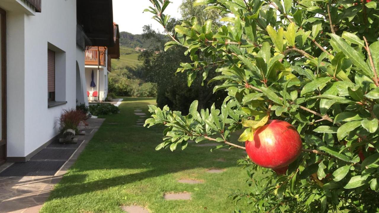 Ferienwohnung Unterstoan Hof Tramin an der Weinstraße Exterior foto